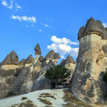 アイディンリ ケーブ ホテル